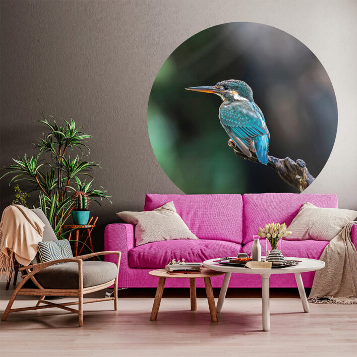 papier peint panoramique oiseaux